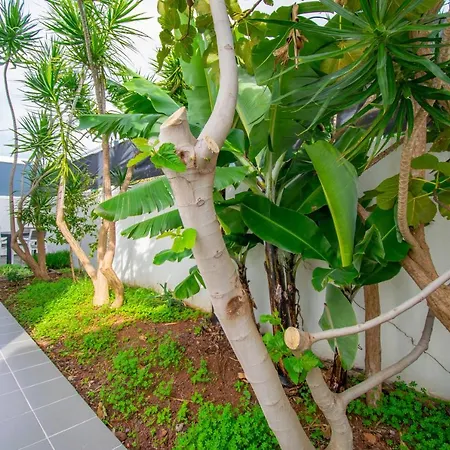 Casa Da Graca By Analodges בית נופש